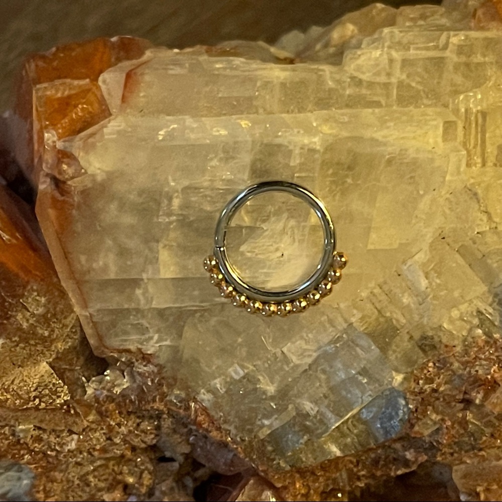 Anatometal Vaughn Seam Ring SS 18k Rose Gold 3/8” Diameter - Picture 6 of 8